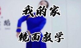美丽的家教在线观看,探寻美丽背后的智慧之光