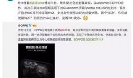 内鬼离谱爆料视频大全,揭秘视频大全背后的惊人真相